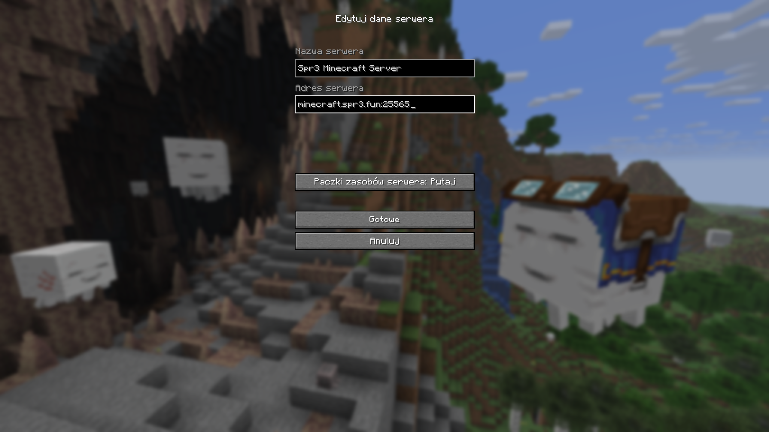 Minecraft server details input
