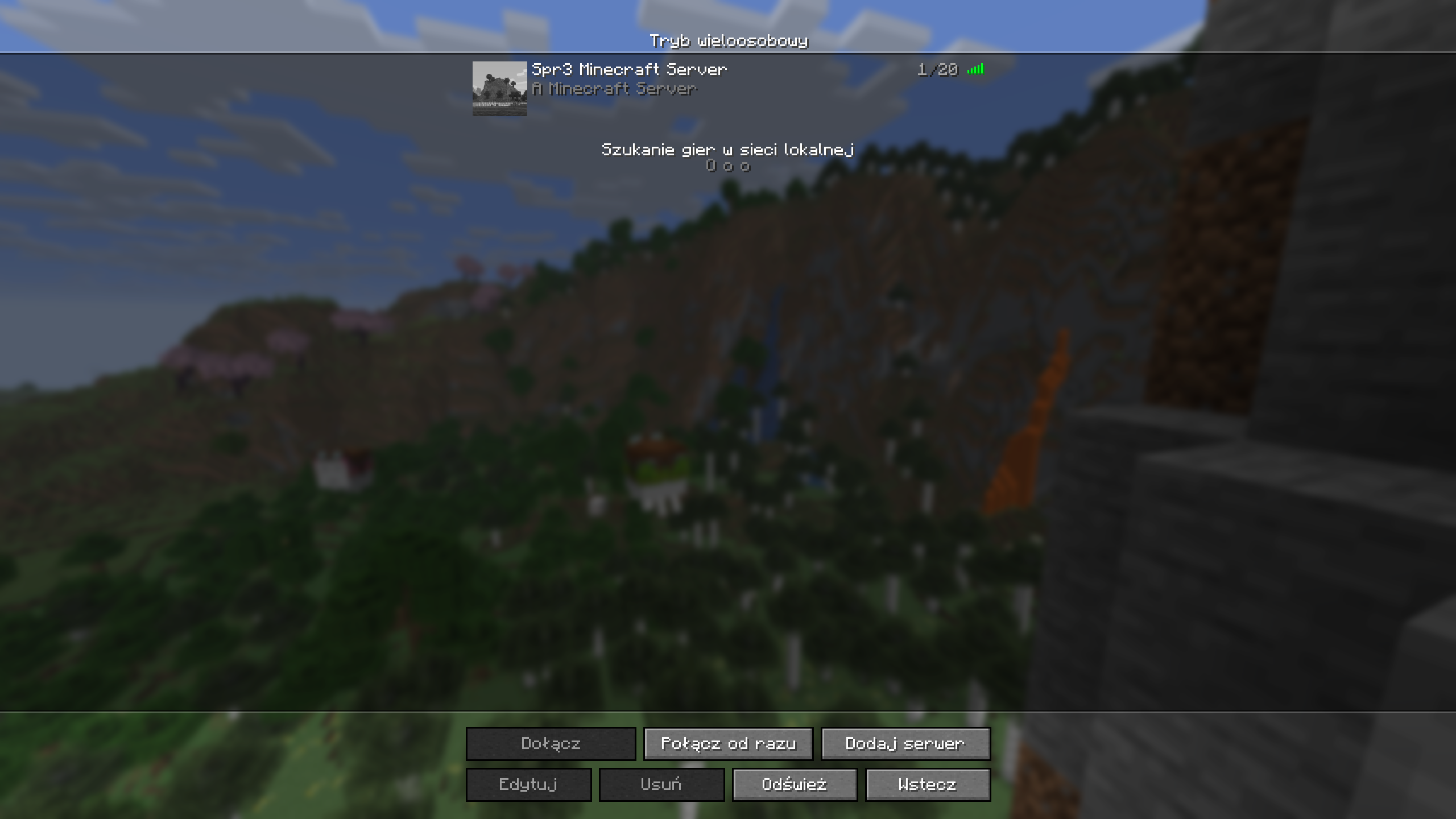 Minecraft server in list